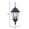 Homeroots Telfair 2-Light Matte Black Hanging Light 398012 - alternate 3